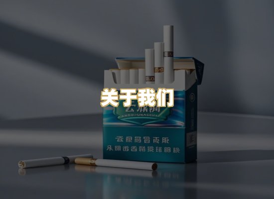 关于我们